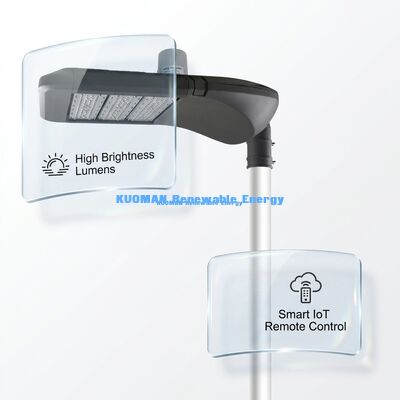 การ์เด้น Smart LED Street Light พร้อม IP66 กันน้ํา, LoRaWAN Smart Control, และอายุการใช้งาน 100000 ชั่วโมงสําหรับแสงอาทิตย์กลางแจ้ง