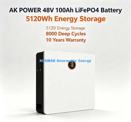 51.2V 100Ah Wall Mount LiFePO4 Battery 5.12kWh | 8000 Cycles Home Solar Storage 10Y Warranty