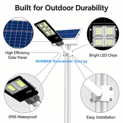 Wind Rain Snow Resistant IP65 Solar Street Light Harsh Climate Outdoor Lamp