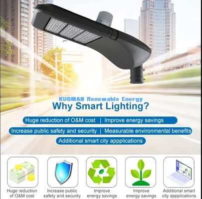 กันน้ํา IP65 LoRaWAN Smart Street Lamp, ป้องกันสายฟ้า, ใช้ในสภาพแวดล้อมกลางแจ้งที่รุนแรง