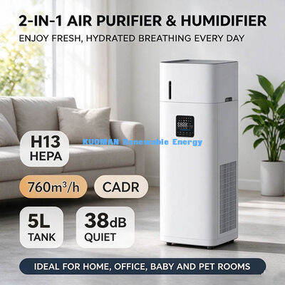 2 in 1 Air Purifier & Evaporative Humidifier, 1000ml/h Humidification, Anti-Mildew Wet Curtain for Home